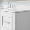 Lion 42-in. Freestanding or Wall-Mounted Vanity in Pure White