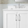 Lion 42-in. Freestanding or Wall-Mounted Vanity in Pure White