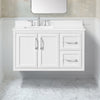 Lion 42-in. Freestanding or Wall-Mounted Vanity in Pure White