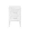 Lion 24-in. Freestanding or Wall-Mounted Vanity in Pure White