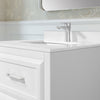 Lion 24-in. Freestanding or Wall-Mounted Vanity in Pure White