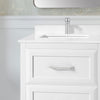 Lion 24-in. Freestanding or Wall-Mounted Vanity in Pure White