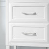 Lion 24-in. Freestanding or Wall-Mounted Vanity in Pure White