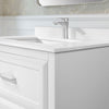 Lion 30-in. Freestanding or Wall-Mounted Vanity in Pure White