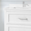 Lion 30-in. Freestanding or Wall-Mounted Vanity in Pure White