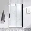 Eva Shower Door 48 In, Black