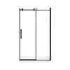 Eva Shower Door 48 In, Black