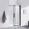 Eva Shower Door 48 In, Black