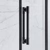 Eva Shower Door 48 In, Black