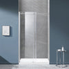 Eva Shower Door 48 In, Satin Nickel